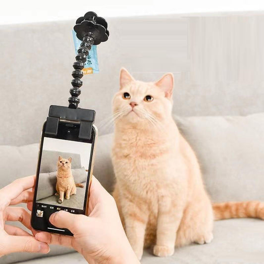 Pet Photography Teddy Camera Toy Phone Camera Stand Selfie Clip Supplies