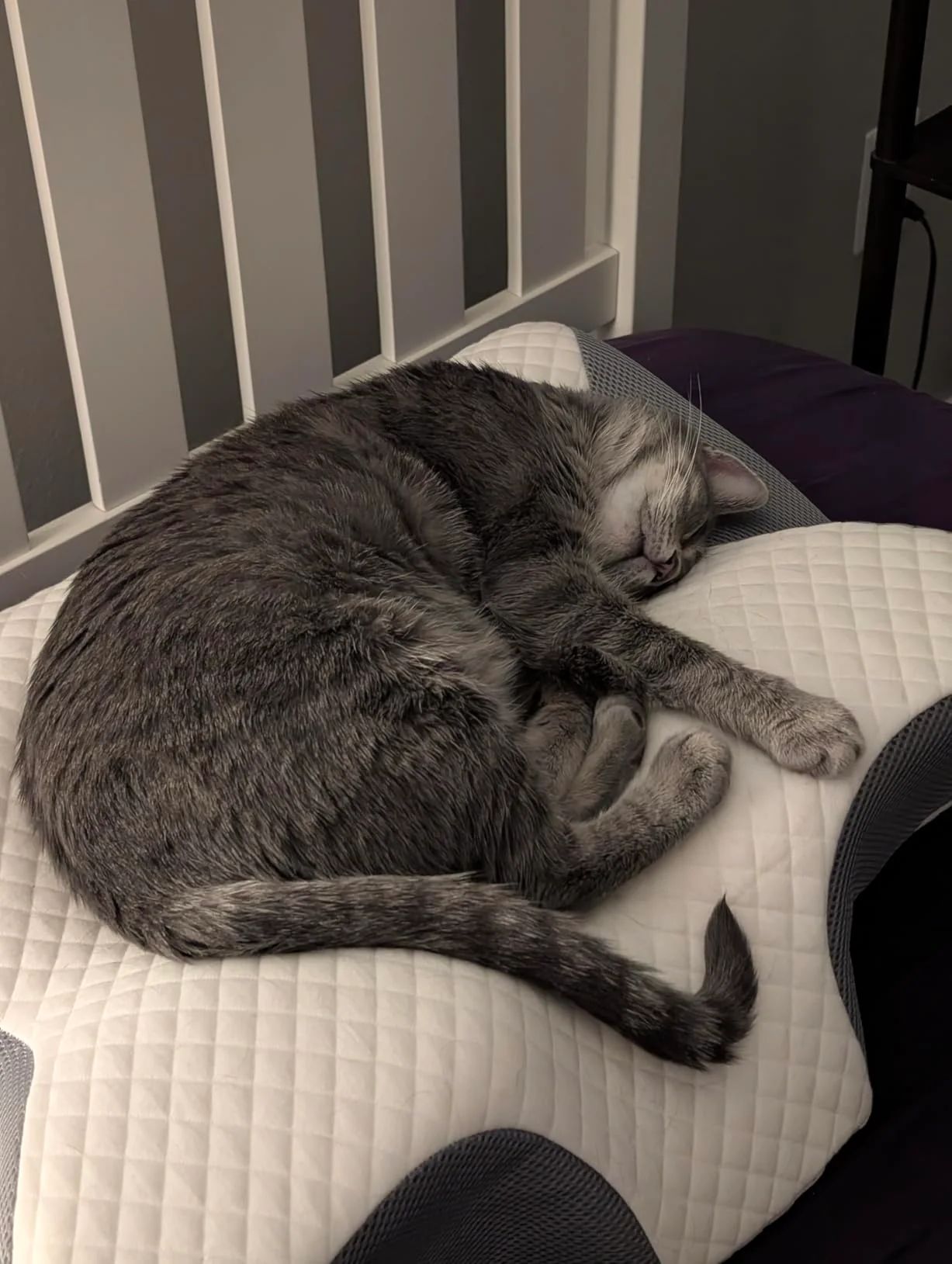 WhatsApp Image 2026-03-17 at 19.10.49 (1).jpeg